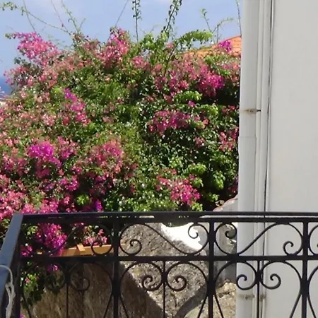 Nyaraló Neoclassical House *